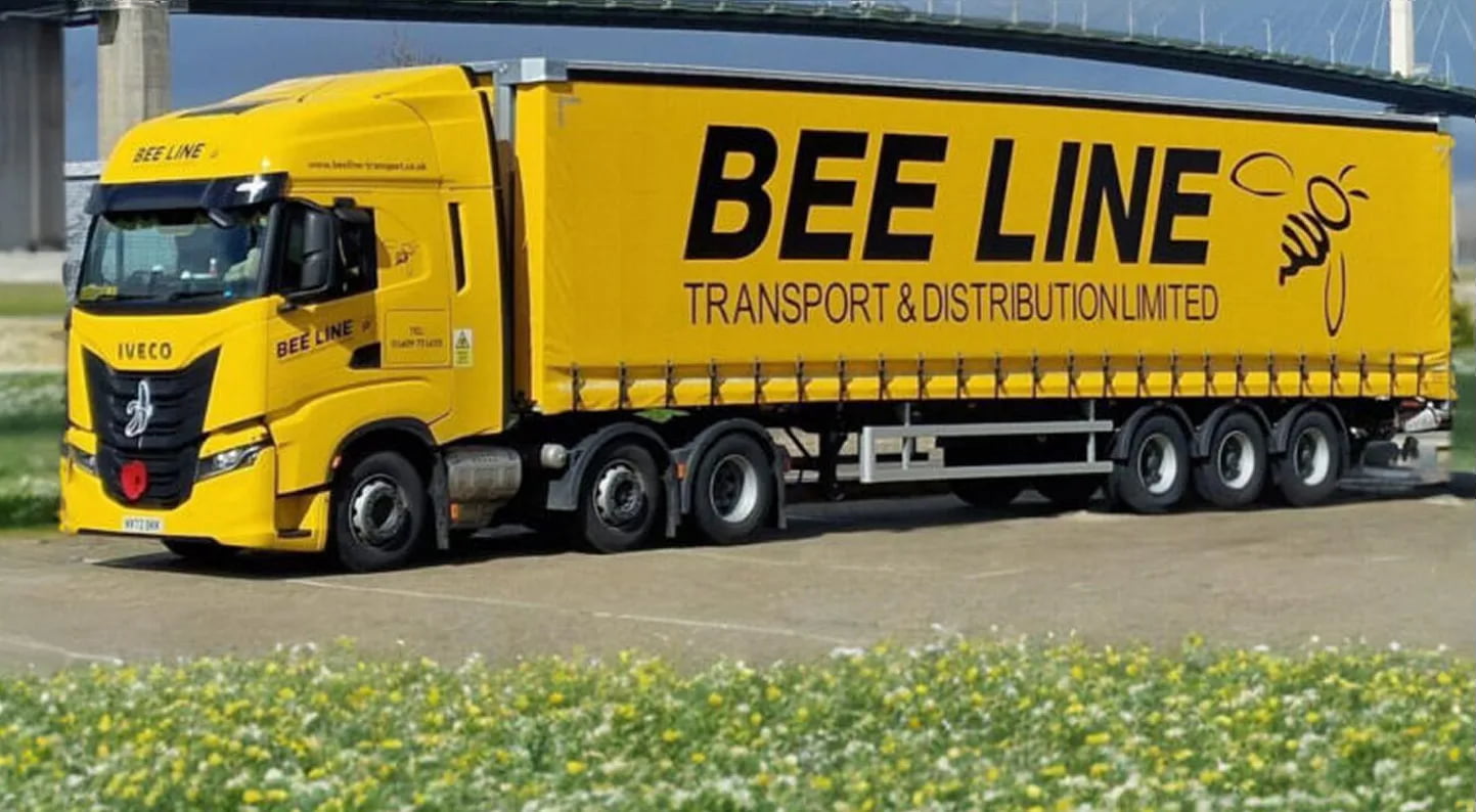 Bee Line Transport - Project showcase image